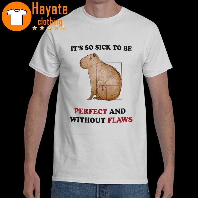 It's So Sick to be Perfect and Without Flaws shirt